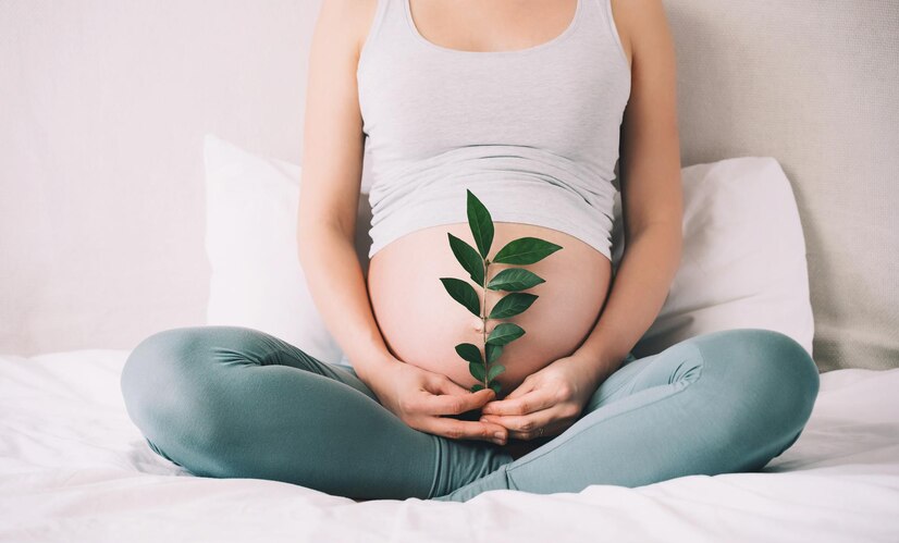 Role of Ayurveda in Fertility Health